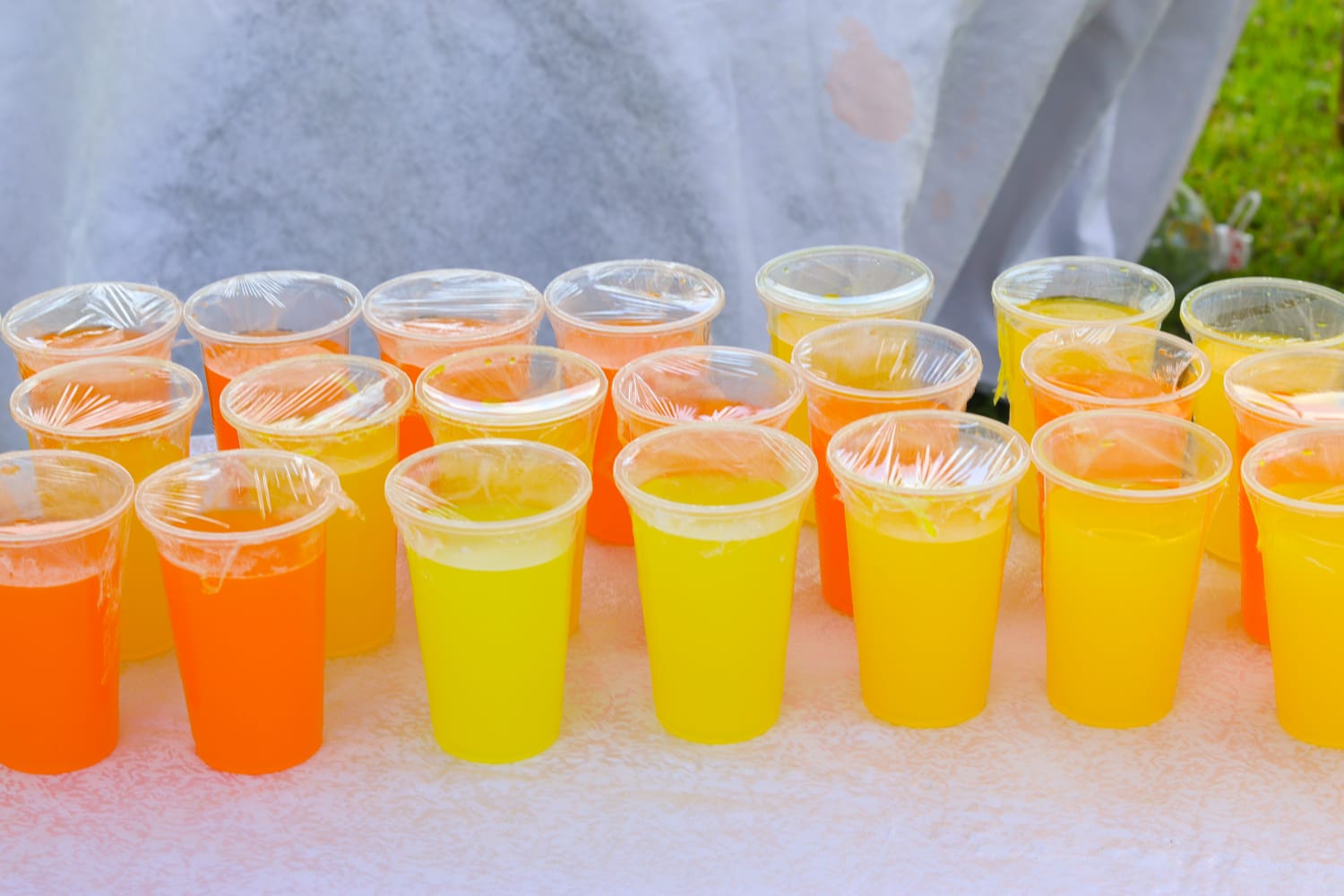 Individual cups of refreshments ready for guests